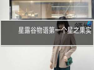 星露谷物语第一个星之果实
