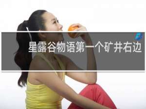 星露谷物语第一个矿井右边