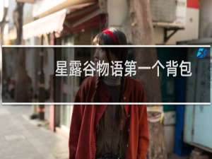 星露谷物语第一个背包