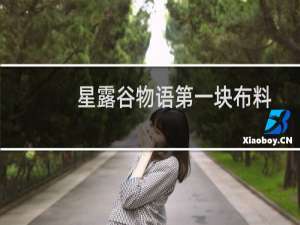 星露谷物语第一块布料