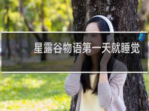 星露谷物语第一天就睡觉