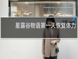 星露谷物语第一天恢复体力