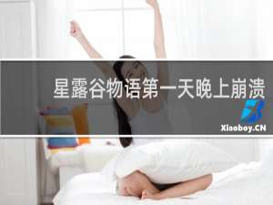 星露谷物语第一天晚上崩溃