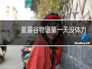 星露谷物语第一天没体力