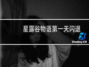 星露谷物语第一天闪退