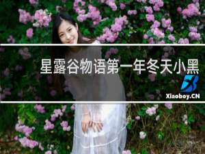 星露谷物语第一年冬天小黑