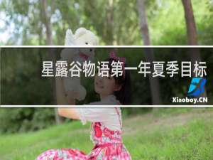 星露谷物语第一年夏季目标