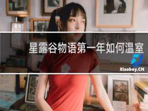 星露谷物语第一年如何温室