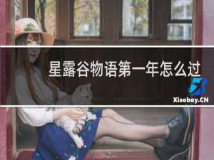 星露谷物语第一年怎么过