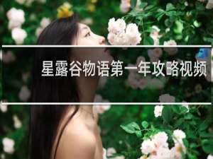 星露谷物语第一年攻略视频