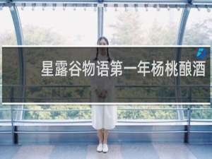 星露谷物语第一年杨桃酿酒