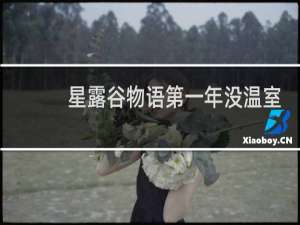 星露谷物语第一年没温室