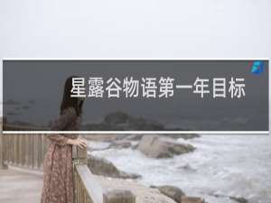星露谷物语第一年目标