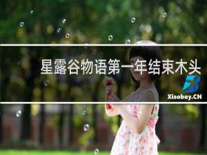 星露谷物语第一年结束木头