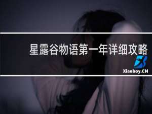 星露谷物语第一年详细攻略