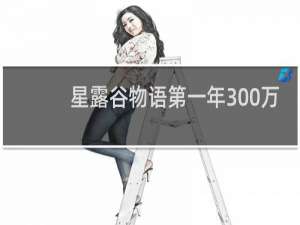 星露谷物语第一年300万