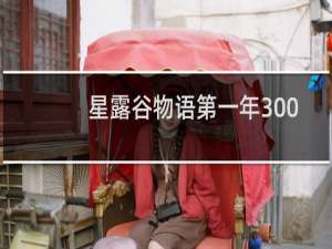 星露谷物语第一年300