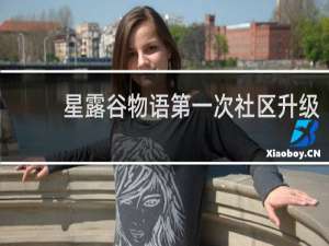 星露谷物语第一次社区升级