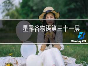 星露谷物语第三十一层
