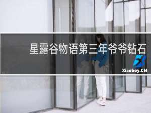 星露谷物语第三年爷爷钻石