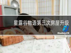 星露谷物语第三次房屋升级