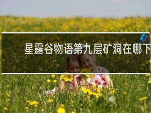 星露谷物语第九层矿洞在哪下