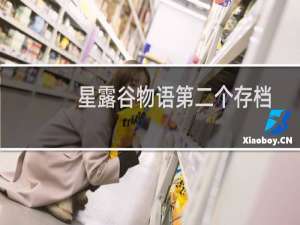 星露谷物语第二个存档
