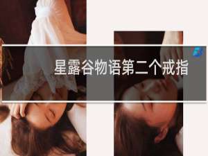 星露谷物语第二个戒指