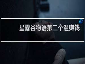 星露谷物语第二个温赚钱