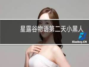 星露谷物语第二天小黑人