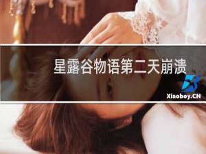 星露谷物语第二天崩溃