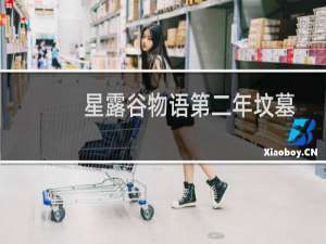 星露谷物语第二年坟墓