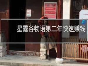 星露谷物语第二年快速赚钱