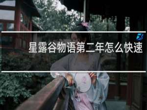 星露谷物语第二年怎么快速