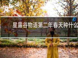 星露谷物语第二年春天种什么