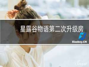 星露谷物语第二次升级房