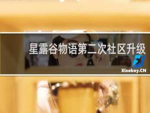 星露谷物语第二次社区升级