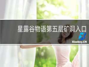 星露谷物语第五层矿洞入口