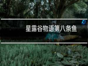 星露谷物语第八条鱼
