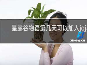 星露谷物语第几天可以加入joja