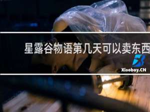 星露谷物语第几天可以卖东西