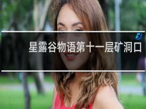 星露谷物语第十一层矿洞口