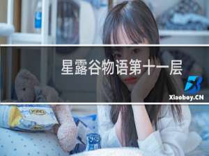 星露谷物语第十一层