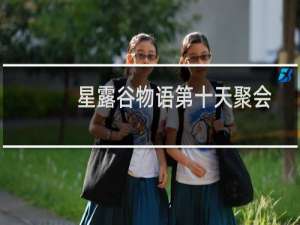 星露谷物语第十天聚会