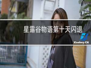 星露谷物语第十天闪退
