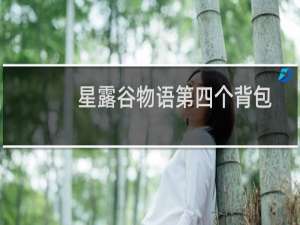 星露谷物语第四个背包