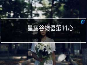 星露谷物语第11心