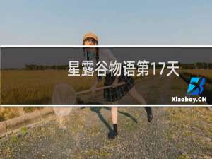 星露谷物语第17天
