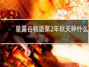 星露谷物语第2年秋天种什么