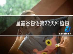 星露谷物语第22天种植物